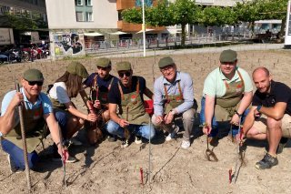 Les encaveurs de Sion ont planté une vigne sur la place du Scex. (Image d'illustration)